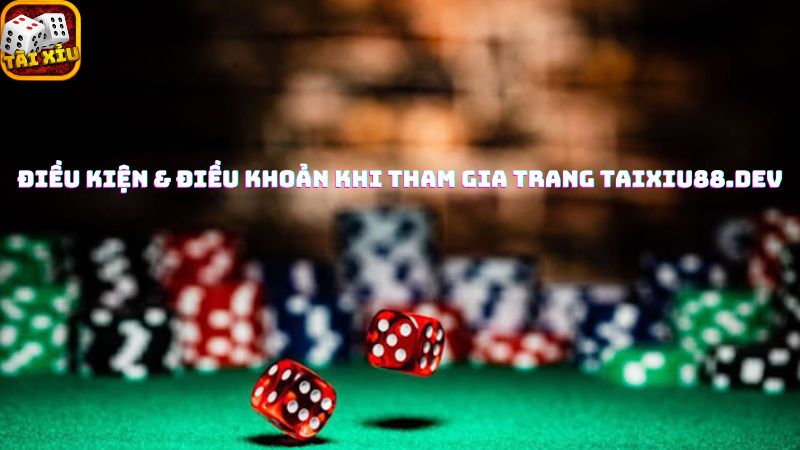 Điều kiện và điều khoản trên trang taixiu88.dev