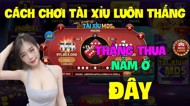 Kinh nghiệm chơi tài xỉu online